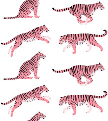 Vector seamless pattern of hand drawn flat pink tigers isolated on white background