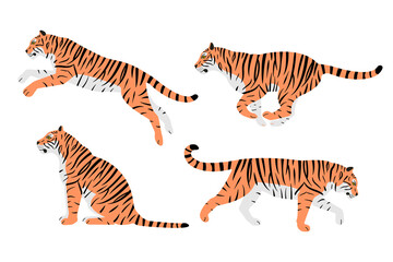 Vector set of hand drawn flat tigers isolated on white background