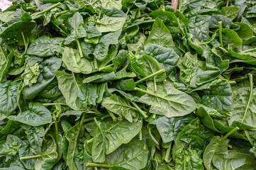 Fresh green spinach for sale at vegetable market, close up. Boxes full of spinach in shop. Spinach...