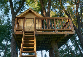 Wooden treehouse
