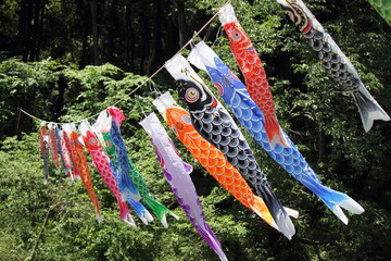 Koinobori or Japanese Carp Kites flying in a Japanese village.