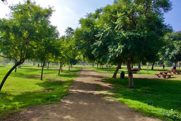 Obraz premium Green Park on a Sunny Day