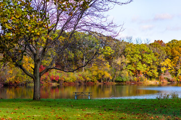 Obraz premium autumn picnic