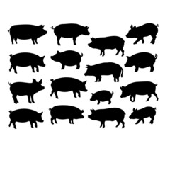 silhouette pig animals illustration background design