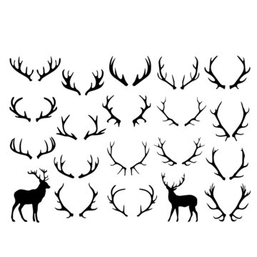 silhouette deer antlers illustration background design