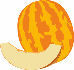 Vector drawing of a melon with a cut wedge. A piece of large yellow striped berry. Summer yummy juicy fruit.
