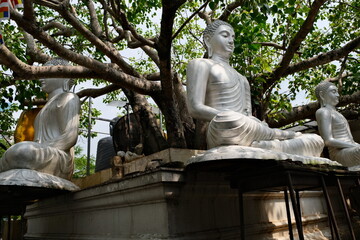 Buddha statues at the Seemamalaka in Gangaramaya Colombo 