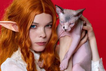 Portrait of young female cosplayer elf showing purebred Sphinx kitten with blue eyes. Ginger elf in summer white dress, with long curly hair, holds kitten near head, looks at camera. Red background.