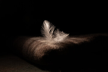 delicate white feather on a warm woolen blanket - winter inspiration