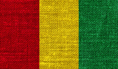 Guinea flag on knitted fabric.3D image