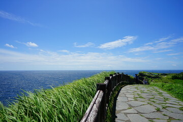 Fototapeta premium a wonderful walkway at seaside cliff