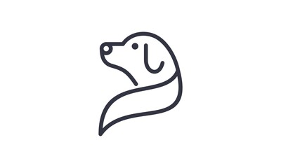 Fototapeta premium dog