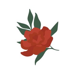 Christmas decorations. Red flower. Vector illustration isolated on a white background. 