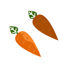 carrot icon design vector templates white on background