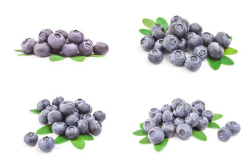 Group of fresh blueberry isolated on a white background cutout