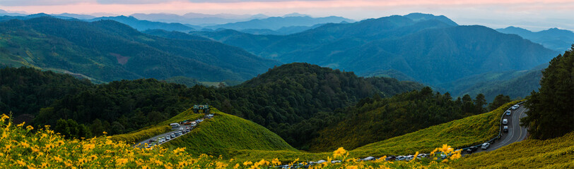 panorama veiw beautiful scenery of yellow flowers Thung Bua Tong, Mae Hong Son, Thailand