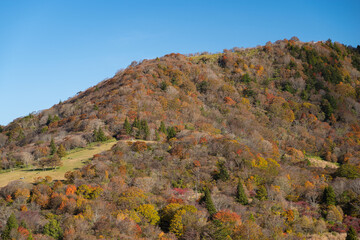 紅葉する茶臼山