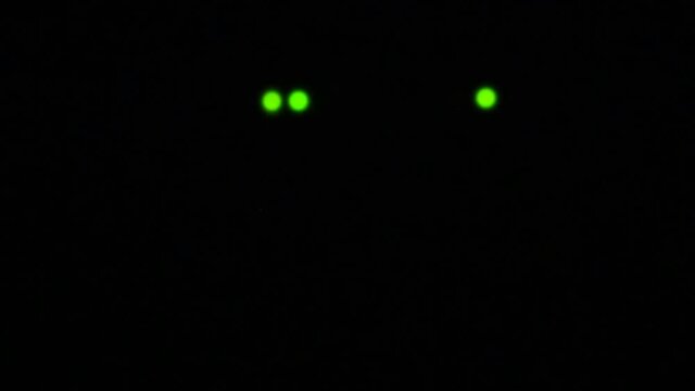 Wi-Fi router or modem light blinking. Wireless internet connection. Flashing green warning lights in black darkness. The process of transferring information through modern means of communication.