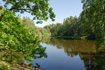 Forest lake among green trees on a sunny summer day. The concept of relaxation and recreation in nature