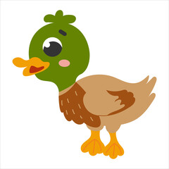 Cute green duck in cartoon style isolated on white background, farm animal, rural lifestile concept for children
