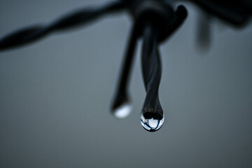water drop on black, A drop of water on a barbed wire fence