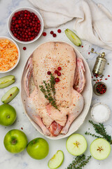 Raw whole duck in a white dish is ready for baking with apples, cranberries, sauerkraut and spices. ingredients on marble table. Recipe for making a festive dinner for Christmas or New Year. Top view