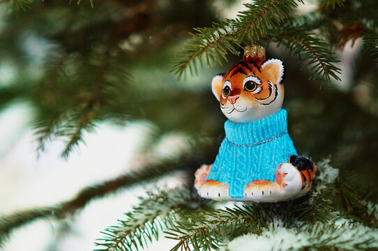 Red Tigris on a snowy christmas tree branch. Tiger symbol of the new 2022 year. © Алексей Игнатов