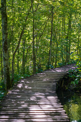 Obraz premium Wooden path with handrails along the Plitvice lakes and mountain forest in National Park. Croatia, Europe