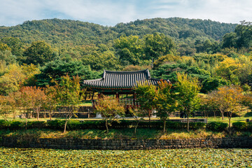 Korean traditional pavilion and autumn mountain at Uam Historic Park in Daejeon, Korea