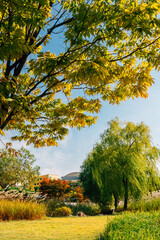 Fototapeta premium Autumn of Dongchundang Historical Park in Daejeon, Korea
