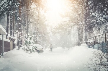 A woman walks her dog down a street in the village in winter. Walking the dog. Portrait from the back. Selective focus, snow grain