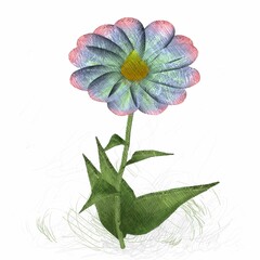 Decorative isolated flower image. Floral Illustration. Vintage botanic artwork. Hand made drawing.
