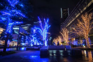 横浜みなとみらいのイルミネーション