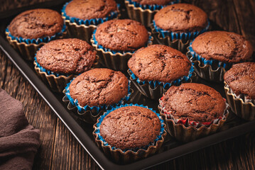 Homemade chocolate muffins in baking sheet