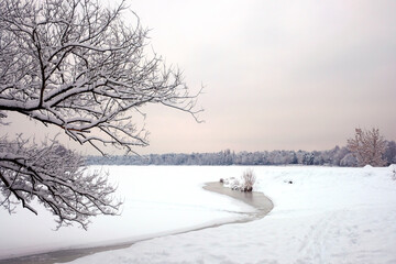 Beautiful landscape with snowy trees at the edge of frozen river and the forest at far at gloomy winter day