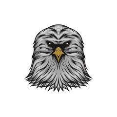 eagle owl isolated on white vector illustration