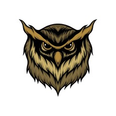 owl head isolated on white vector illustration