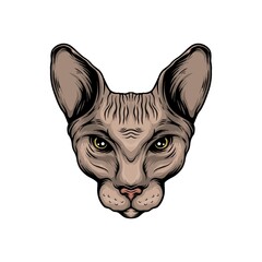 sphynx head vector illustration