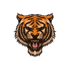 tiger head isolated vector illustration