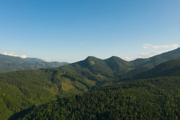 Naklejka premium Aerial view of beautiful conifer trees in mountains on sunny day