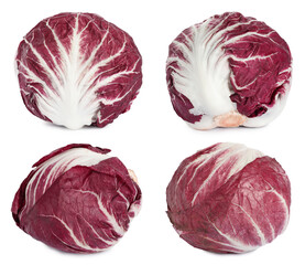 Obraz premium Set with fresh ripe radicchios on white background