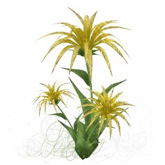 Decorative isolated flower image. Floral Illustration. Vintage botanic artwork. Hand made drawing.