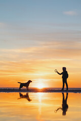 Fototapeta na wymiar the silhouette of a man against the background of a sunset on a lake or sea. a woman or a man on the background of the setting sun walks and plays with his dog in nature, the friendship of man and dog
