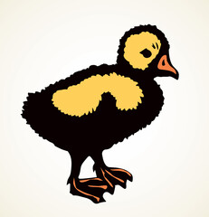 Little duckling. Vector drawing icon