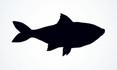 Big sea fish. Vector drawing