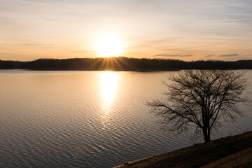 Naklejka na ściany i meble Sunrise and Tree on the Lake