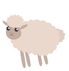 cute white fluffy smiling little sheep on white background