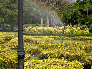 Watering the plants in the park with a rainbow in the background.