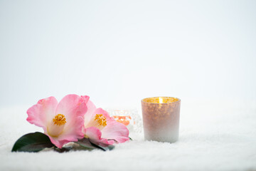 椿とアロマテラピー