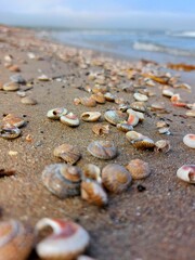 stones on the beach